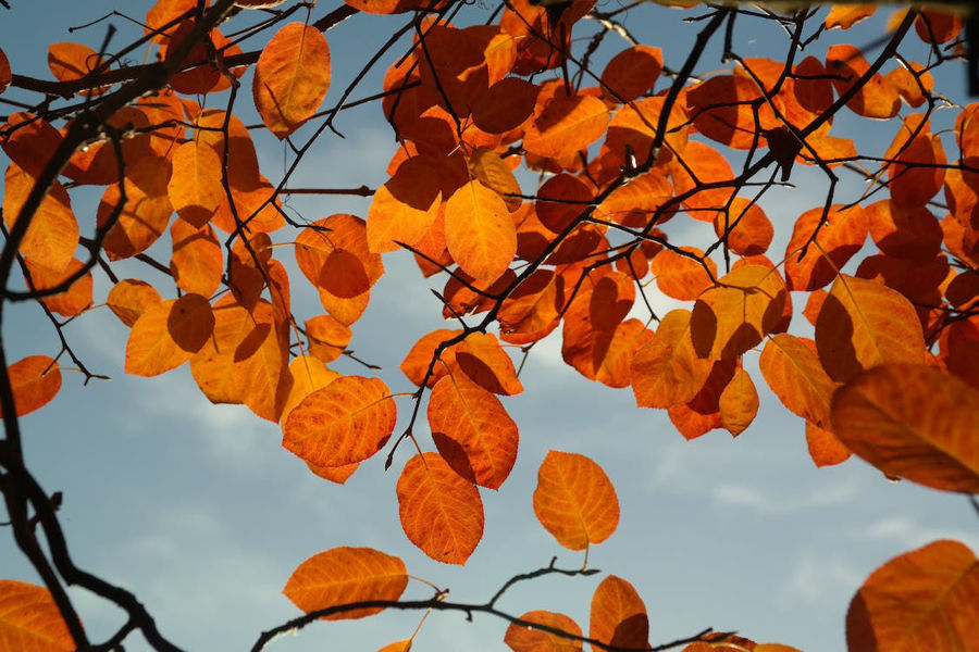 Autumn Vibes: colora il tuo guardaroba