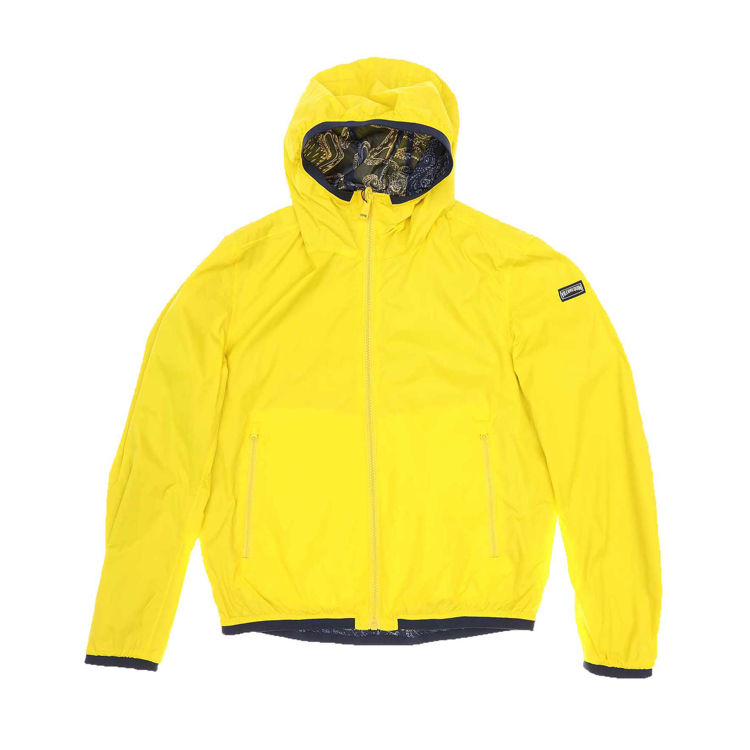 241 GIALLO