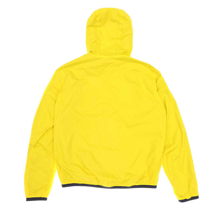 241 GIALLO