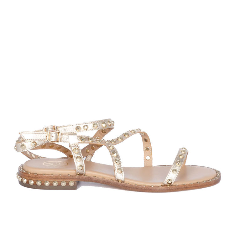 LIGHT GOLD/ARIEL