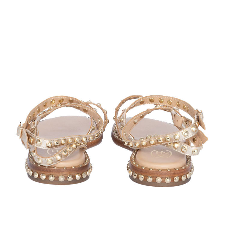 LIGHT GOLD/ARIEL